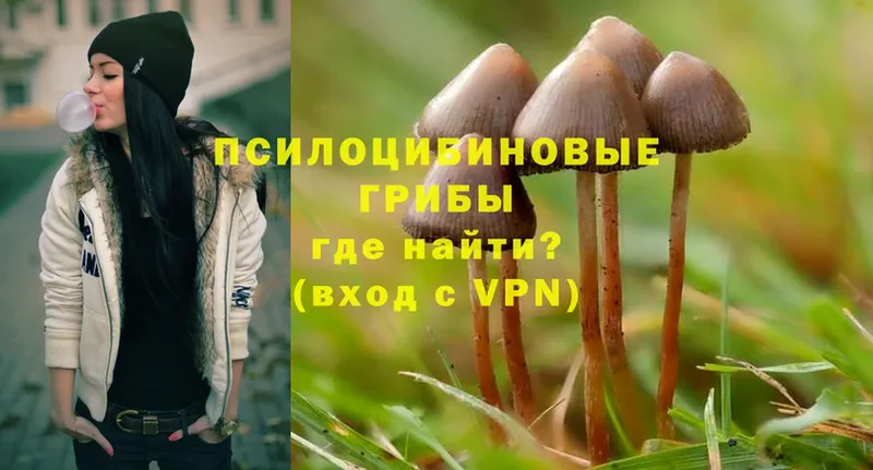 Псилоцибиновые грибы MAGIC MUSHROOMS  blacksprut ссылки  Гусиноозёрск 